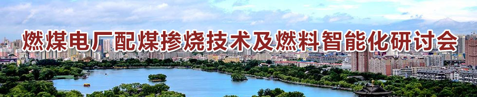 燃煤電廠配煤摻燒技術及燃料智能化研討會