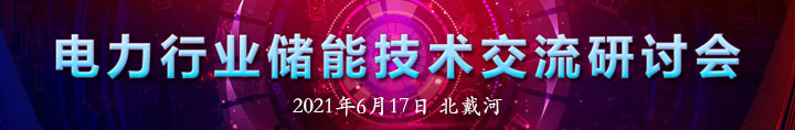 電力行業(yè)儲(chǔ)能技術(shù)與應(yīng)用研討2021年會(huì)